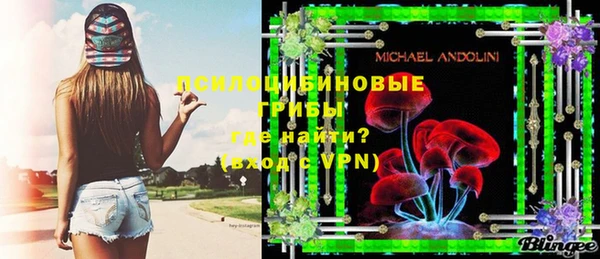 стафф Михайлов