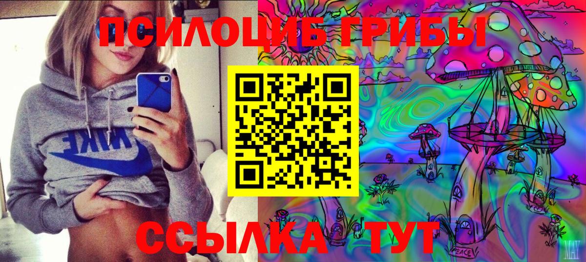 Галлюциногенные грибы мухоморы  Псилоцибиновые грибы GOLDEN TEACHER  Вход с VPN  где продают наркотики  Петрозаводск 