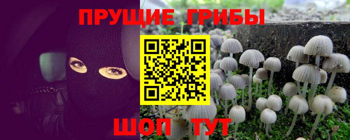 Галлюциногенные грибы ЛСД Петрозаводск